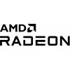 AMD Radeon 880M