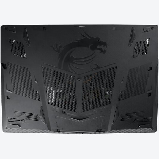 MSI GE73VR 7RF-204XDERaider