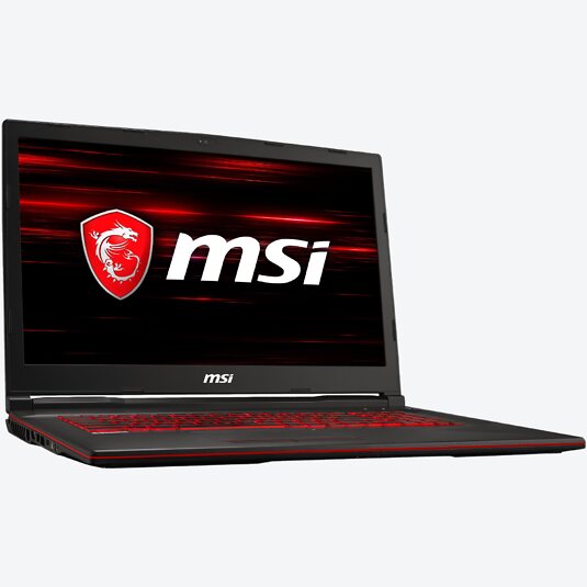 MSI GL73 8RE-696