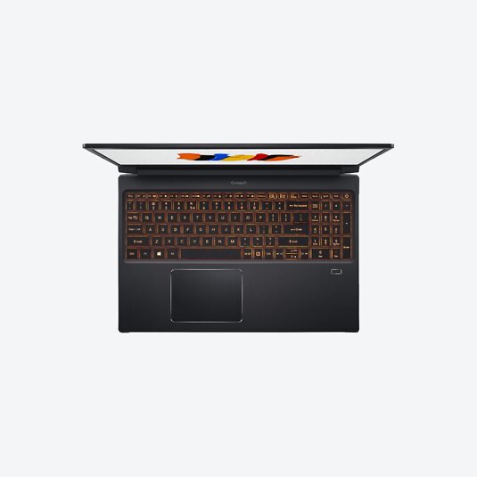 Acer ConceptD 3 Pro CN315-71P-71D5 Schwarz