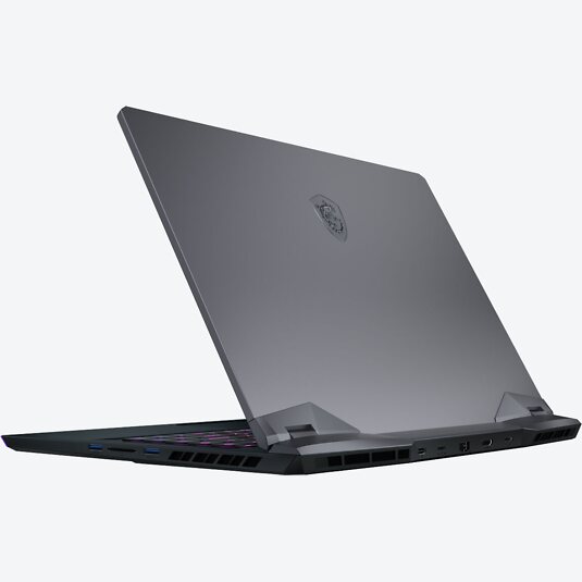 MSI GE66 Raider 10SFS-072