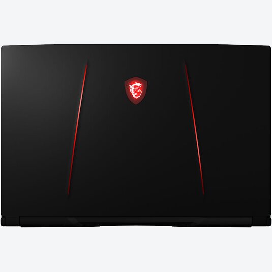 MSI GE75 10SFS-089DC Raider