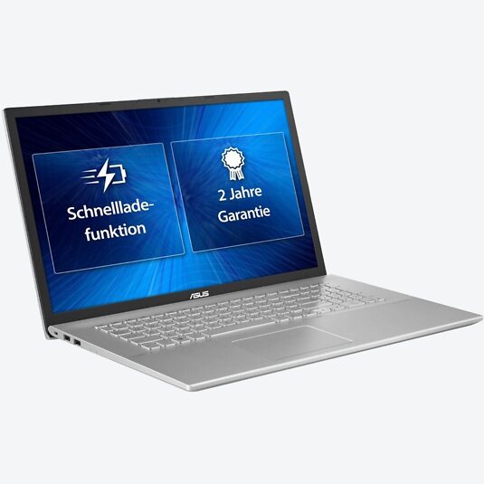 ASUS Business P1701FA-AU657R