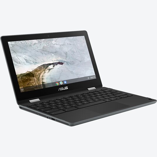 ASUS Chromebook Flip C214MA-BW0163