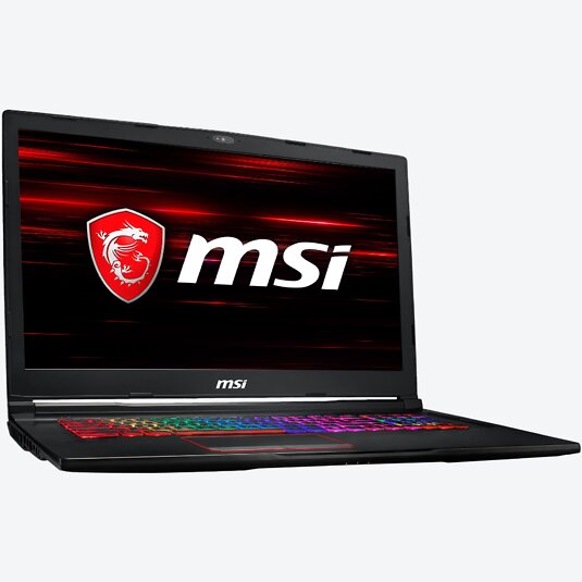 MSI GE73 8RF-627 Raider