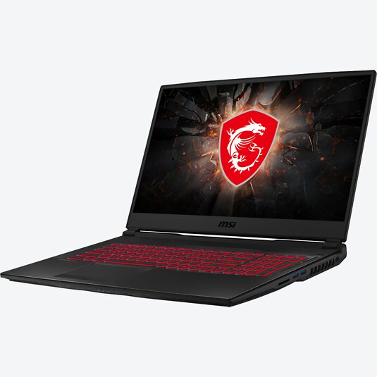 MSI GL75 10SFR-274 Leopard