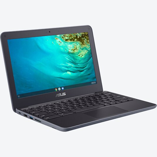 ASUS Chromebook C202XA-GJ0064 Grau