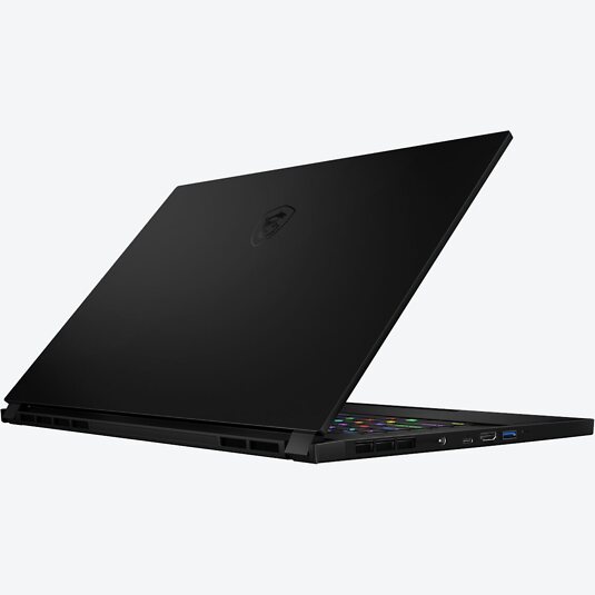 MSI GS66 Stealth 10SFS-056