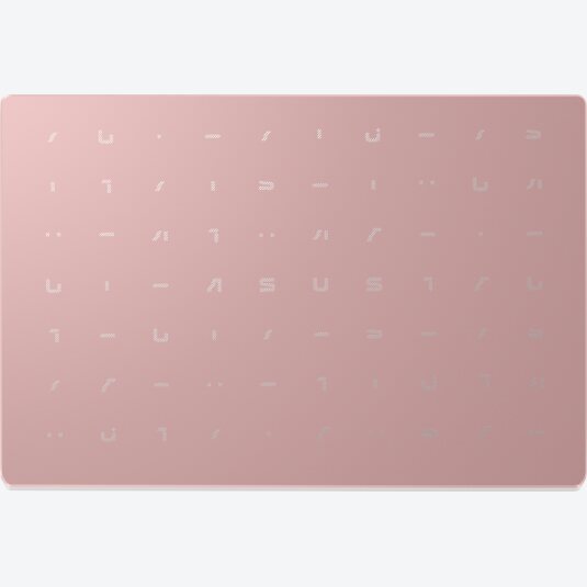 ASUS VivoBook E210MA-GJ002TS Rosa