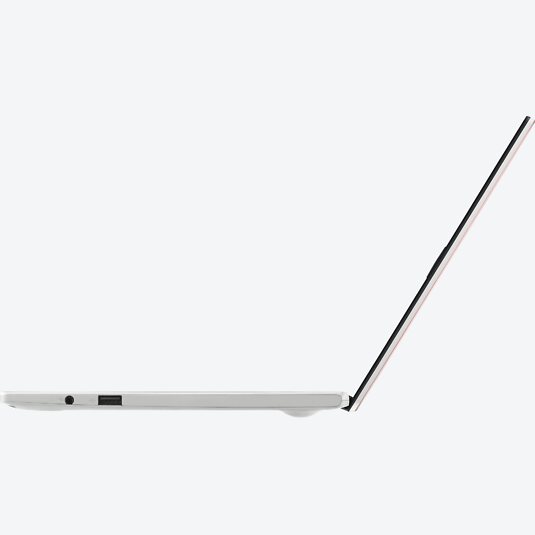 ASUS VivoBook E210MA-GJ002TS Rosa