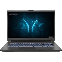 Medion Erazer Defender P10