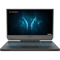 Medion Erazer Deputy P10