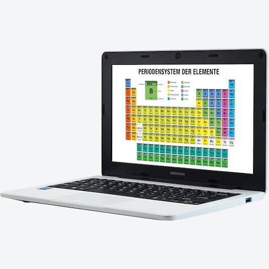 Medion Akoya E11202 (30030229)