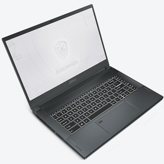MSI WS66 10TL-220
