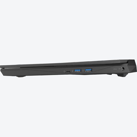Medion Erazer Deputy P10 (30029942)