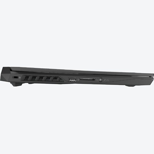 Medion Erazer Deputy P10 (30029942)