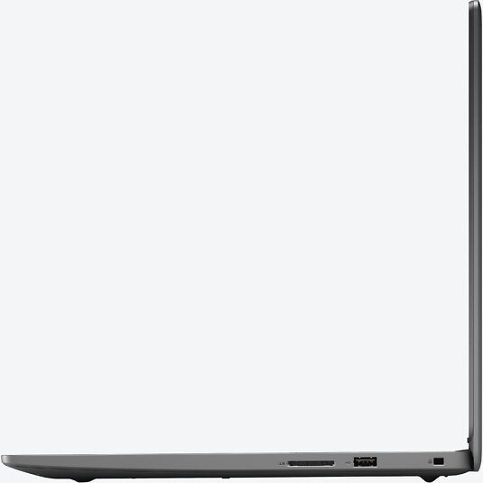 Dell Inspiron 15 3502 (CN30206SC)