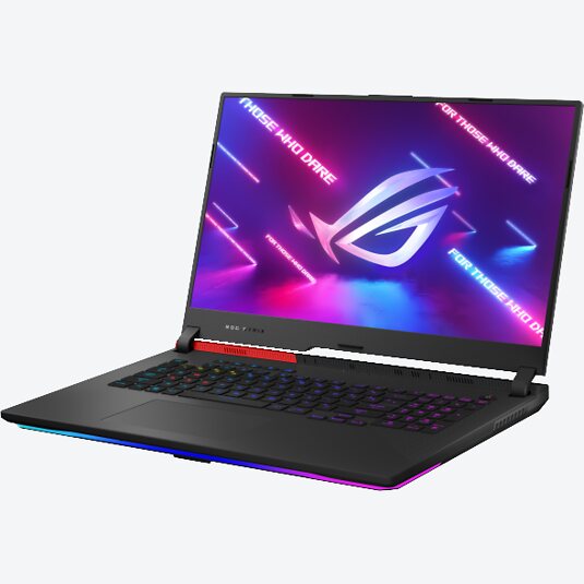 ASUS ROG Strix G17 G713QR-HG106T Grau