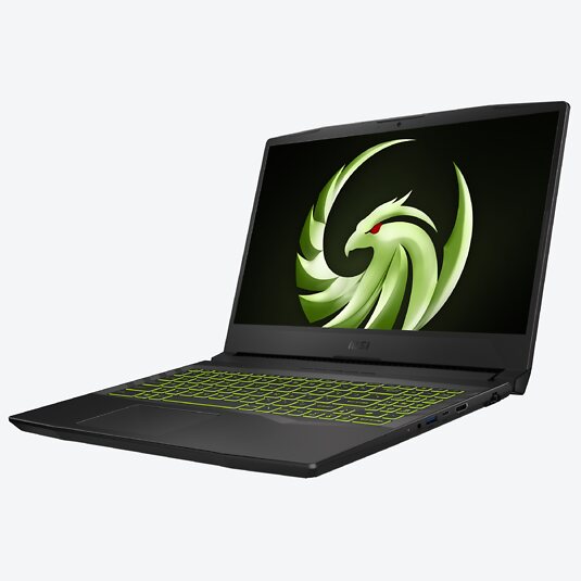 MSI Alpha 15 B5EEK-008