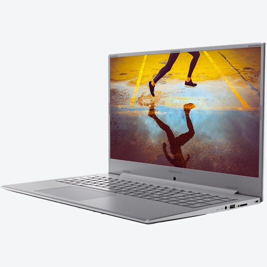 Medion Akoya S17403 (30032979)
