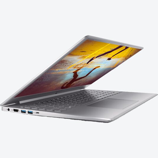 Medion Akoya S17403 (30032979)