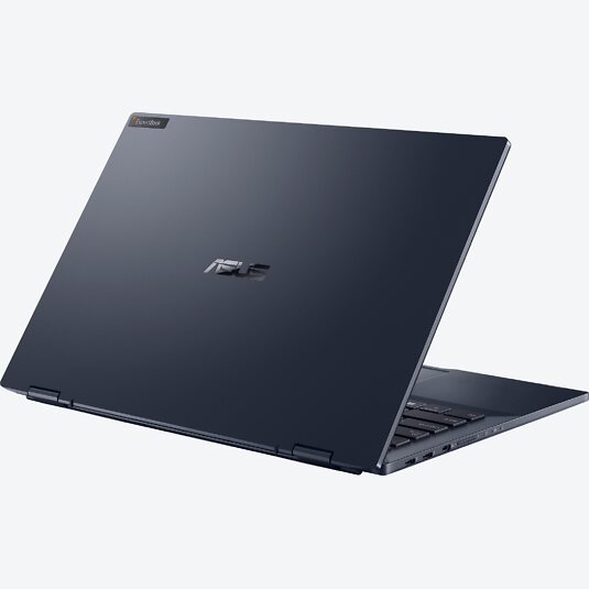 ASUS ExpertBook B5 B5302FEA-LG0081R