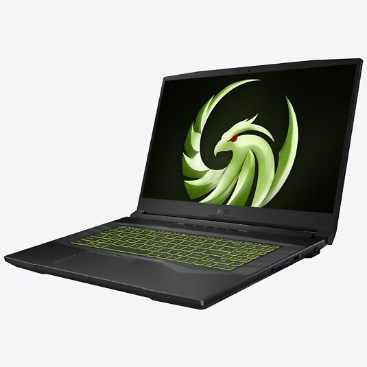 MSI Alpha 17 B5EEK-030