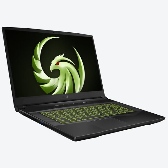 MSI Alpha 17 B5EEK-030