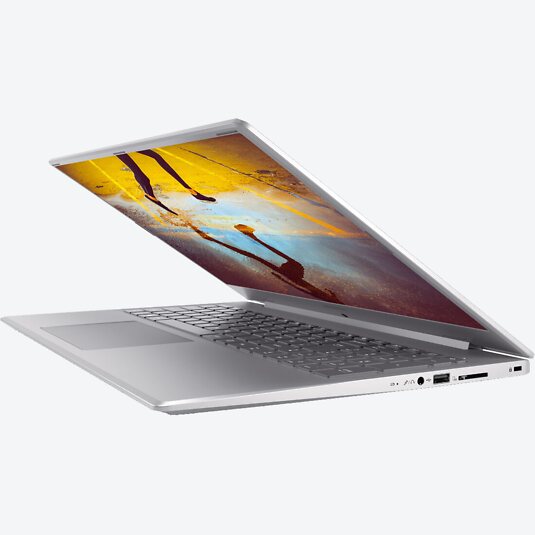 Medion Akoya S17403 (30032591)