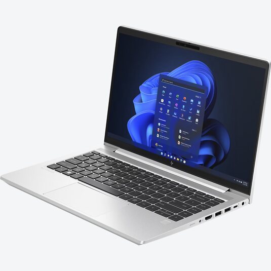 HP EliteBook 645 G10 (6F2Q0EA)