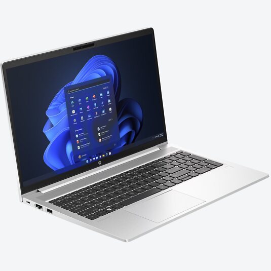 HP ProBook 455 G10 (816J6EA)