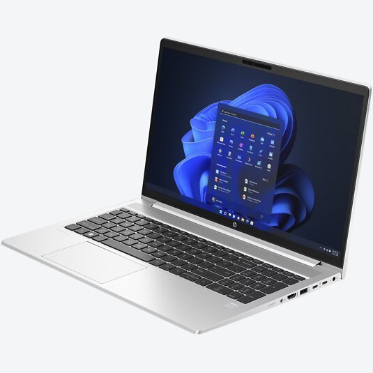 HP ProBook 455 G10 (816J6EA)