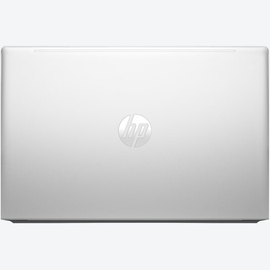 HP ProBook 455 G10 (816J6EA)