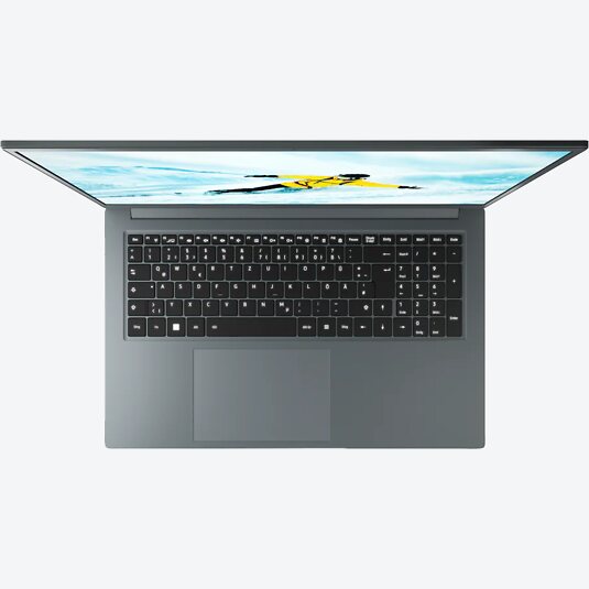 Medion Akoya S17419 (30035995)