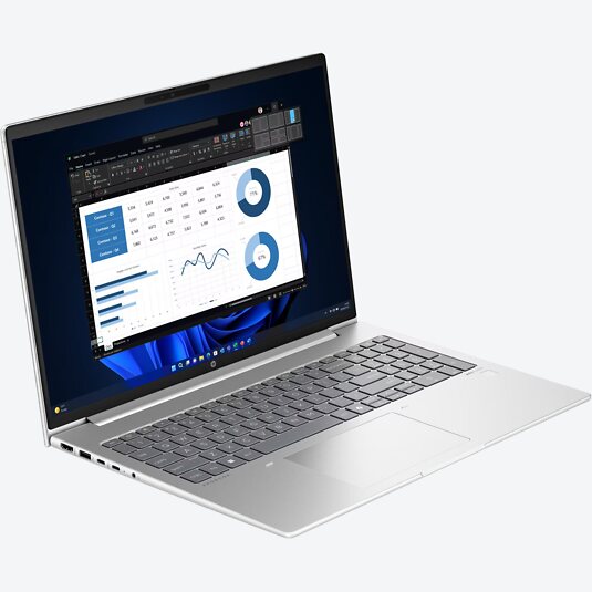 HP ProBook 460 G11 (A23HKEA)