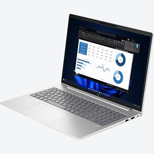 HP ProBook 460 G11 (A23HKEA)