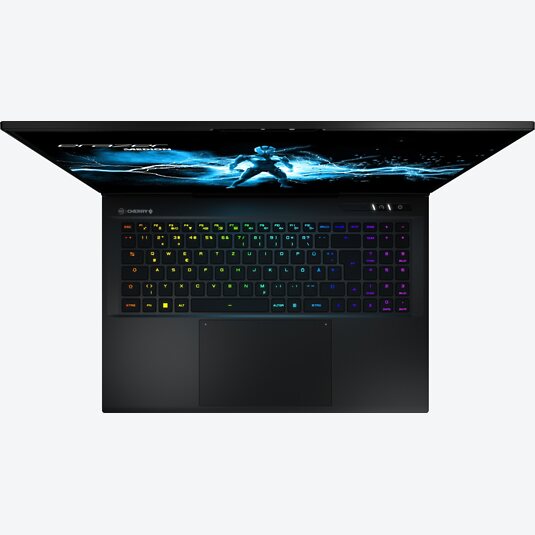 Medion Erazer Beast X40 (30038747)