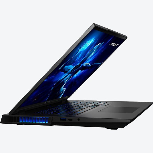 Medion Erazer Beast 18 X1 (30039675)