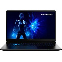 Medion Erazer Defender 17 P1