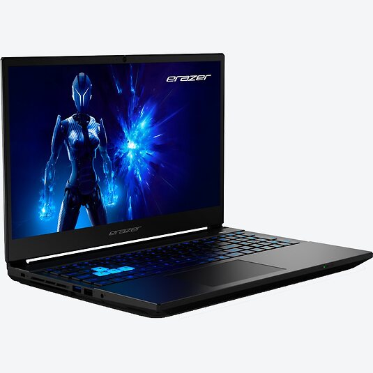 Medion Erazer Deputy 15 P1 (30039883)