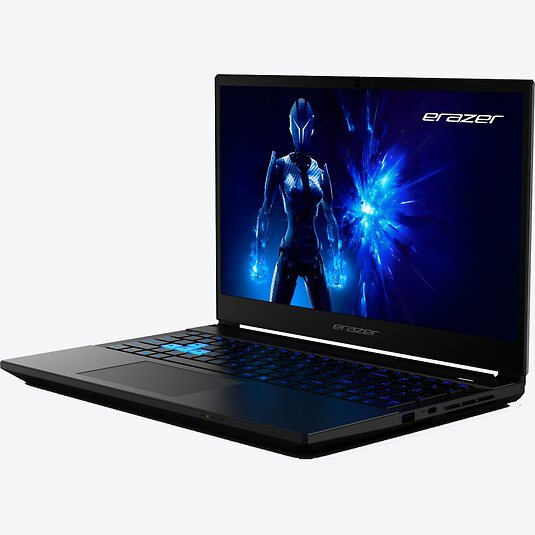 Medion Erazer Deputy 15 P1 (30039883)