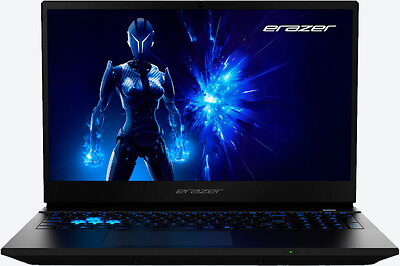 Medion Erazer Deputy 15 P1 (30039769)