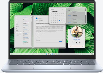 Dell Inspiron 14 5445 (BN54905SB)