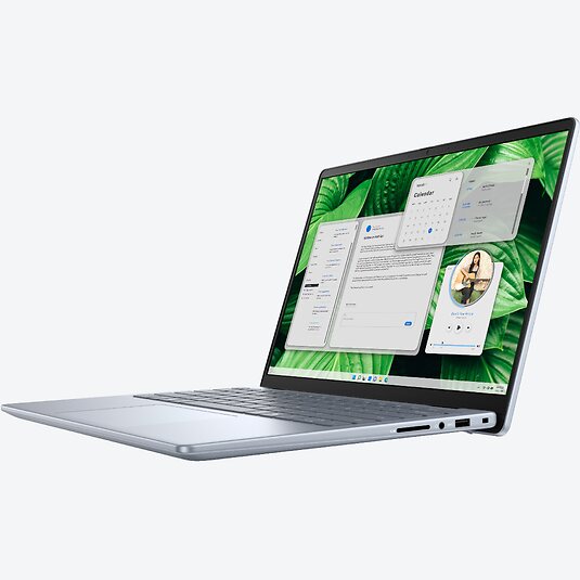 Dell Inspiron 14 5445 (BN54905SB)