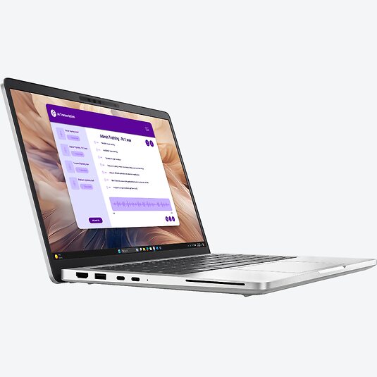 Dell Pro 13 Plus PB13250 (YXWNP)
