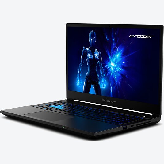Medion Erazer Deputy 15 P1 Core (30039869)