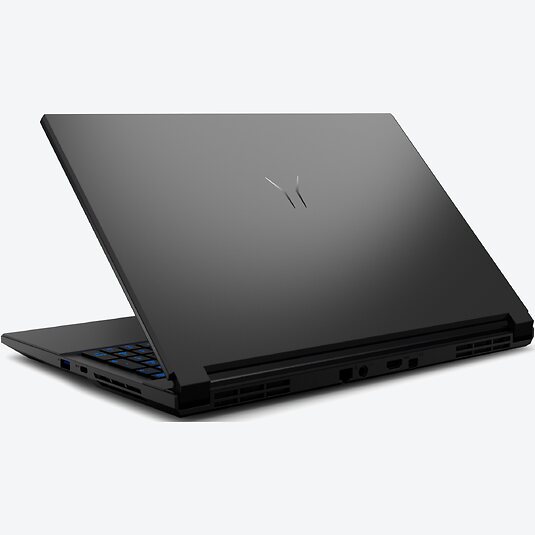 Medion Erazer Deputy 15 P1 Core (30039869)