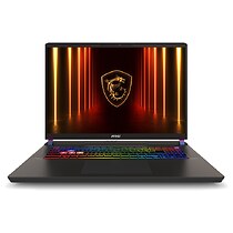 MSI Vector 17