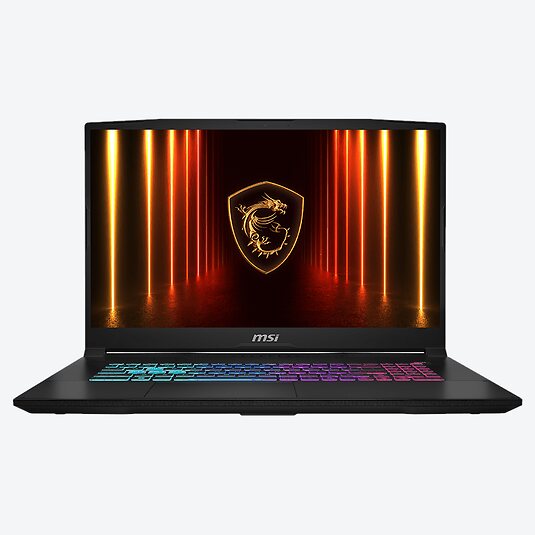 MSI Katana 17 HX B14WFK-227
