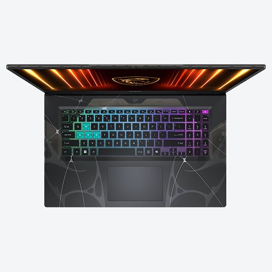 MSI Cyborg 17 B13WFKG-095